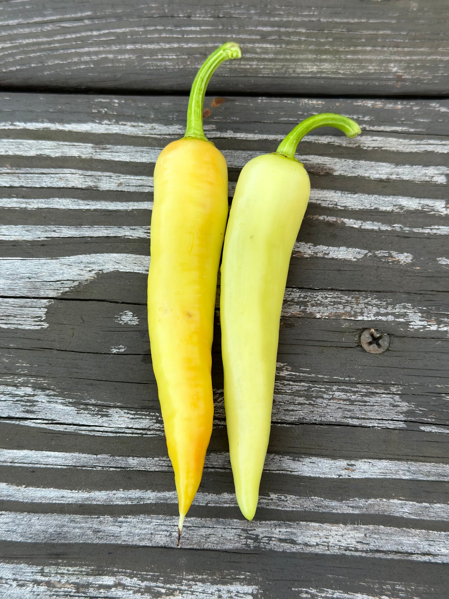 Banana Pepper