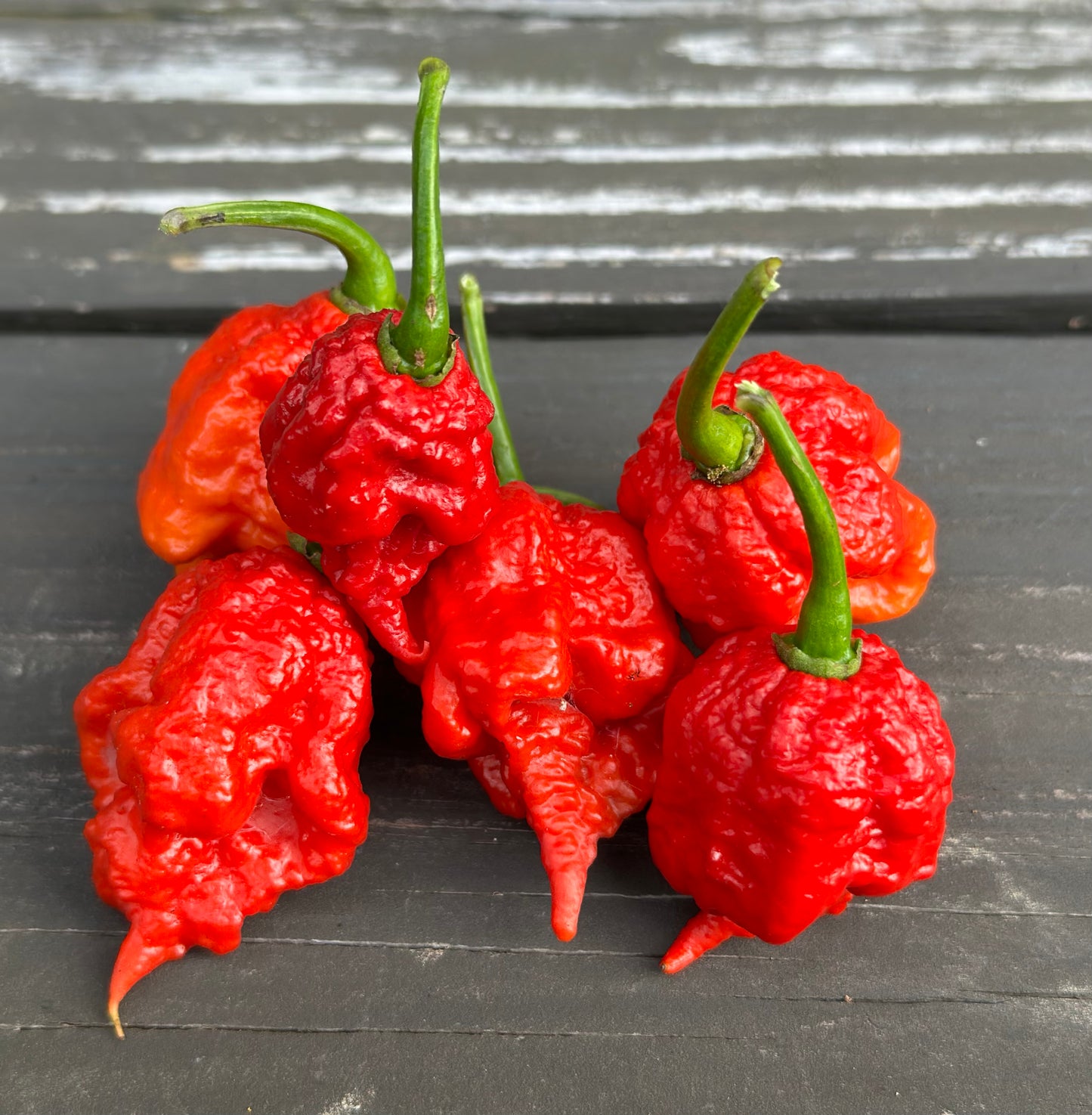 Carolina Reaper