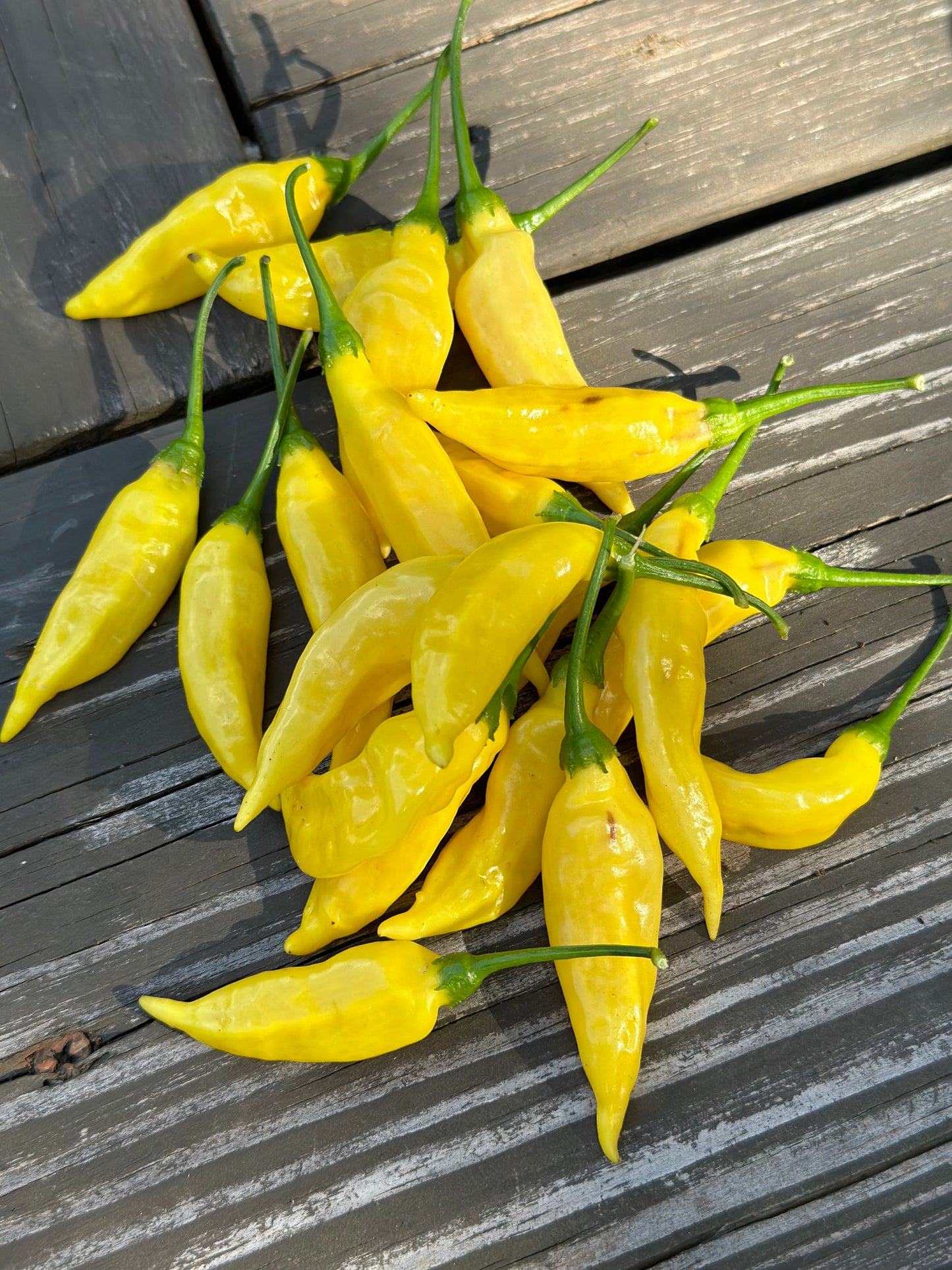 Aji Pineapple