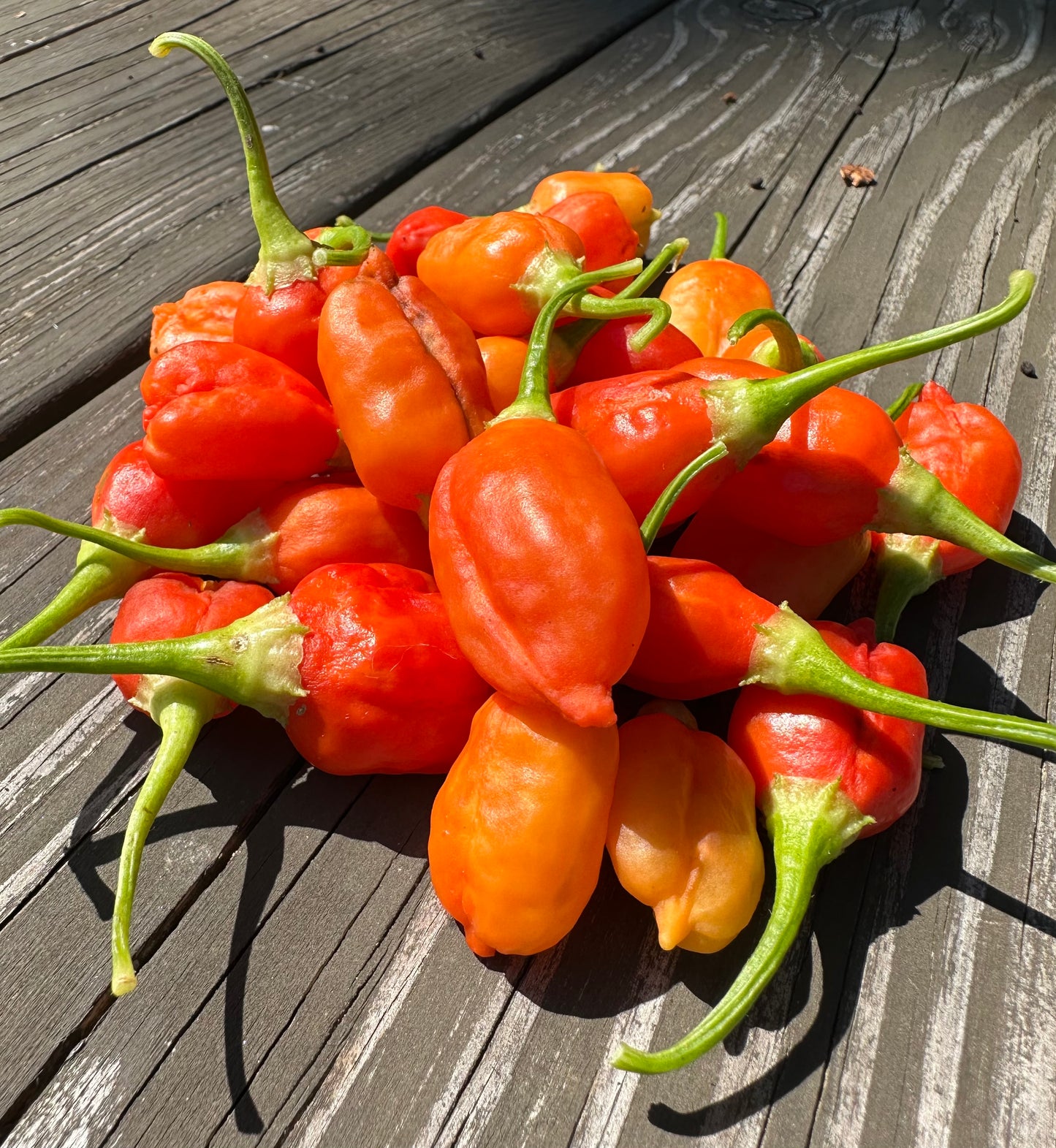 Aji Strawberry Drop