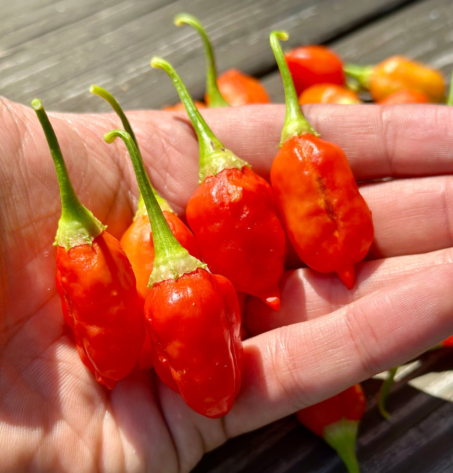 Aji Strawberry Drop