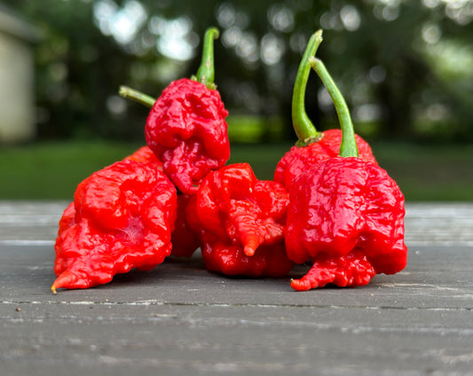 Carolina Reaper